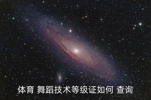 体育 舞蹈技术等级证如何 查询