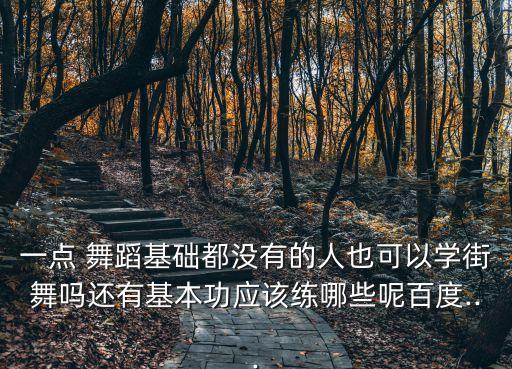 一点 舞蹈基础都没有的人也可以学街舞吗还有基本功应该练哪些呢百度...