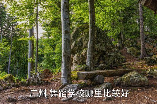  广州 舞蹈学校哪里比较好