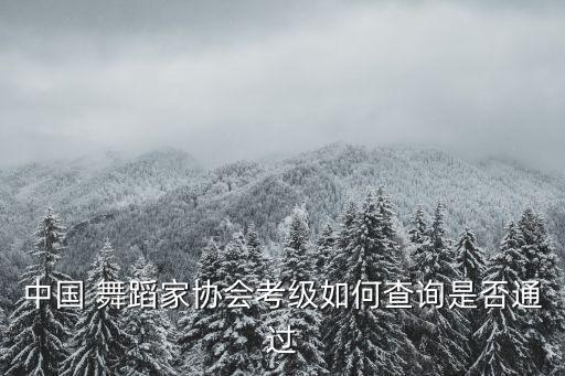 中国 舞蹈家协会考级如何查询是否通过