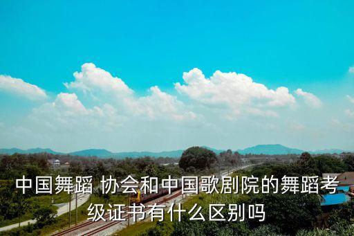 中国舞蹈 协会和中国歌剧院的舞蹈考级证书有什么区别吗
