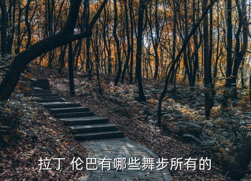 拉丁 伦巴有哪些舞步所有的