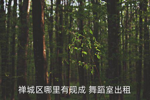 禅城区哪里有现成 舞蹈室出租