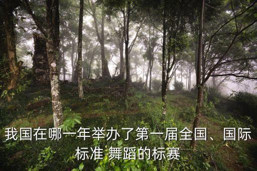 我国在哪一年举办了第一届全国、国际标准 舞蹈的标赛