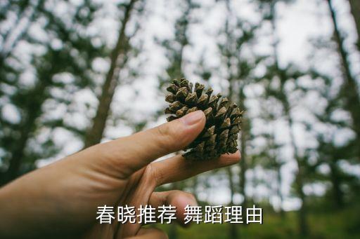 春晓推荐 舞蹈理由