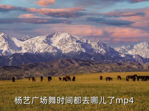 时间都去哪了舞蹈比赛,时间都去哪儿了?