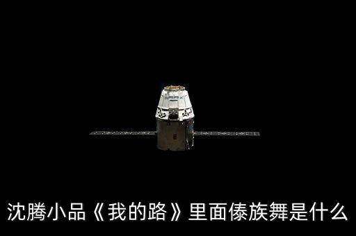 傣歌舞蹈,《我的路》第二集:孔雀舞表演者舞姿优美如孔雀起舞