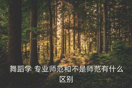 非舞蹈专业介绍,高等学府毕业班会考生可报考交谊舞专业