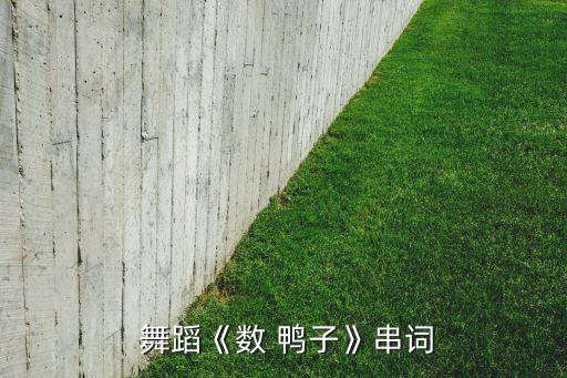 儿童舞蹈数鸭子视频,幼儿园舞蹈表演《编号鸭子》
