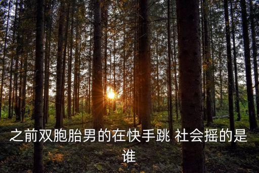 之前双胞胎男的在快手跳 社会摇的是谁