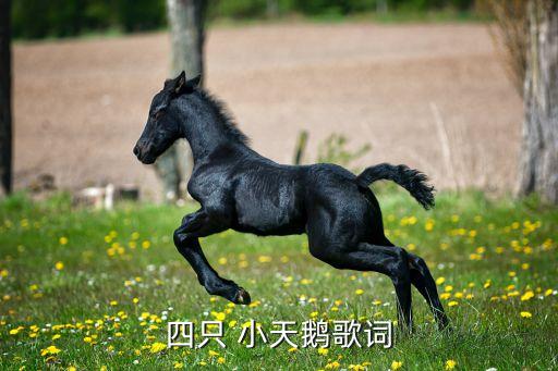 八只小天鹅舞蹈视频,《四小天鹅舞曲》第二幕序曲