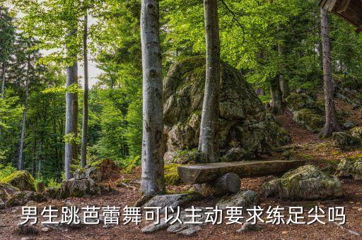  男生跳芭蕾舞可以主动要求练足尖吗