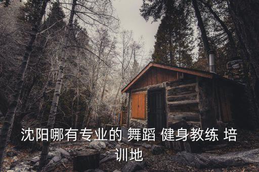 沈阳哪有专业的 舞蹈 健身教练 培训地