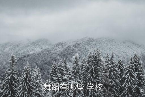 舞蹈类本科学校,舞蹈专科学府有哪些