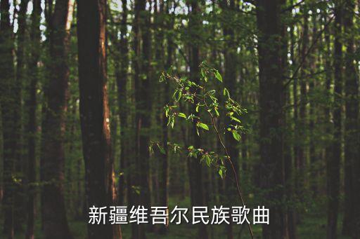 维族舞蹈(古丽),天山南端吐鲁番盆地维吾尔族居住分布较多