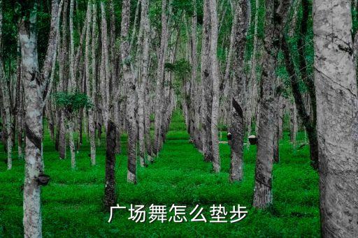 广场舞怎么垫步
