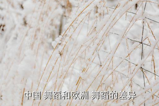 复兴中国舞蹈,中国舞蹈等级考试证书分三种类型