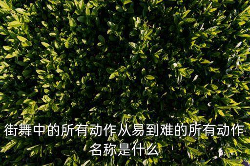 街舞中的所有动作从易到难的所有动作名称是什么
