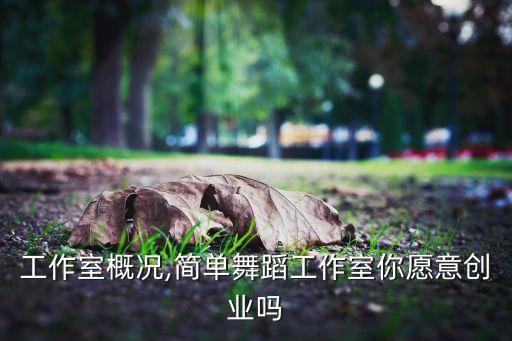 舞蹈工作室概况,简单舞蹈工作室你愿意创业吗?