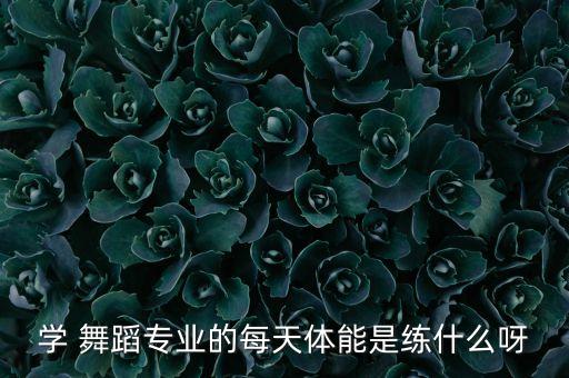 舞蹈运动员,冰上舞蹈舞蹈有氧气保持身心活跃