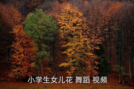 比较好看的小学生舞蹈视频教程,工作舞蹈教程视频