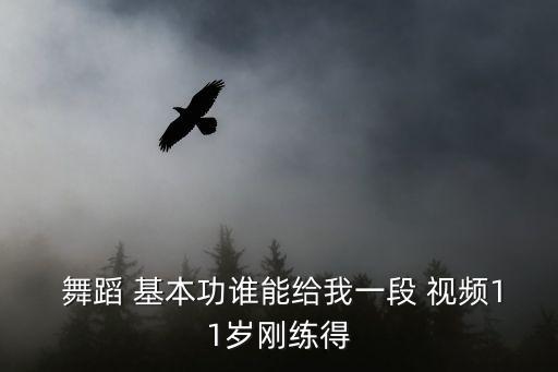  舞蹈 基本功谁能给我一段 视频11岁刚练得