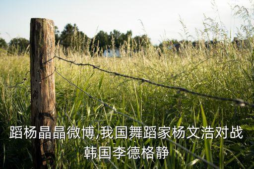 好舞蹈杨晶晶微博,我国舞蹈家杨文浩对战韩国李德格静
