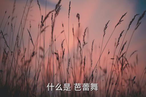 什么是 芭蕾舞