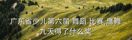 广东省少儿第六届 舞蹈 比赛,鹰舞九天得了什么奖