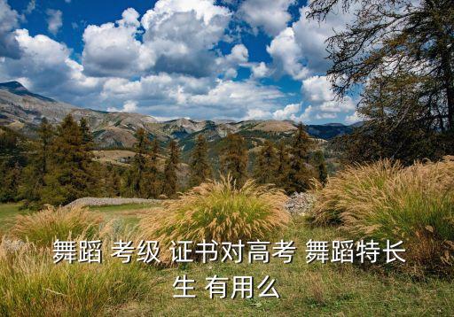  舞蹈 考级 证书对高考 舞蹈特长生 有用么