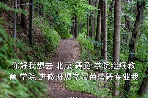 你好我想去 北京 舞蹈 学院继续教育 学院 进修班想学习芭蕾舞专业我...