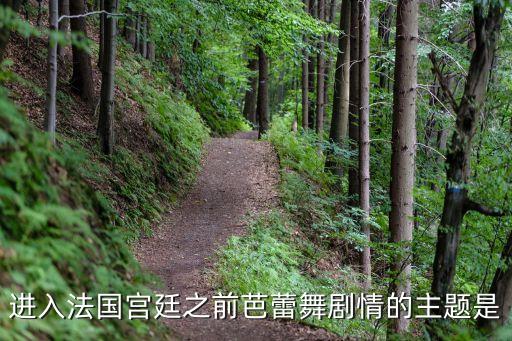 舞蹈编剧范本,中央戏剧学院首演芭蕾舞蹈由戴集体执导