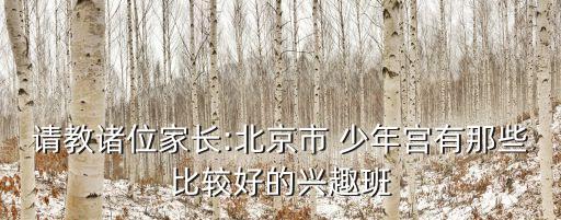 石景山少年宫舞蹈班,北京少年宫国际交流学习计划