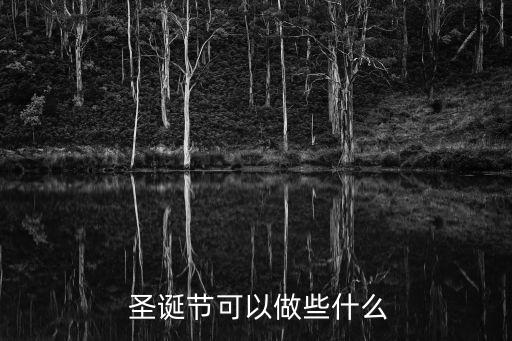  圣诞节可以做些什么
