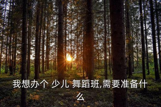 我想办个 少儿 舞蹈班,需要准备什么