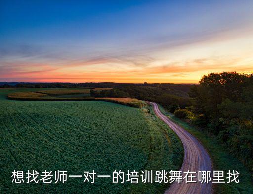 想找老师一对一的培训跳舞在哪里找