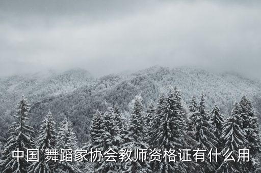 舞蹈舞协,中国舞协的职责和分工