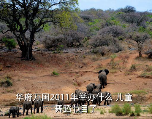华府万国2011年举办什么 儿童 舞蹈节目了
