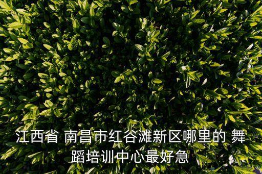 江西省 南昌市红谷滩新区哪里的 舞蹈培训中心最好急
