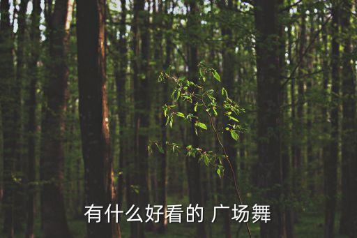 有什么好看的 广场舞