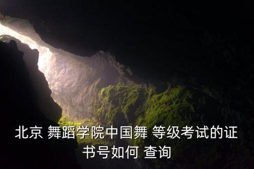 北京 舞蹈学院中国舞 等级考试的证书号如何 查询