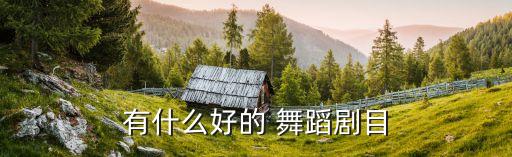 有什么好的 舞蹈剧目