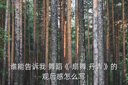 谁能告诉我 舞蹈《 扇舞 丹青》的观后感怎么写