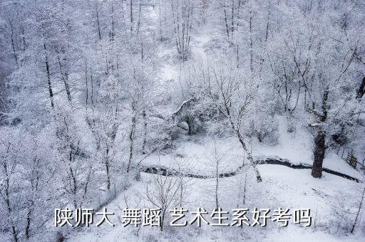 川大舞蹈系舞蹈艺术照,舞蹈专业就业情况介于两到三个方面