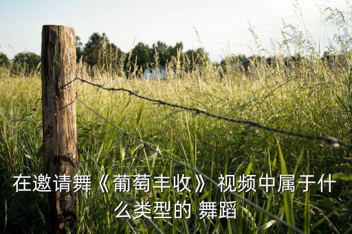 在邀请舞《葡萄丰收》 视频中属于什么类型的 舞蹈