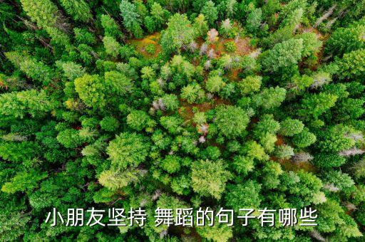 小朋友坚持 舞蹈的句子有哪些