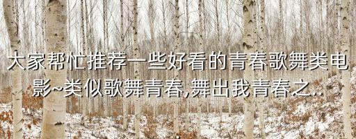 大家帮忙推荐一些好看的青春歌舞类电影~类似歌舞青春,舞出我青春之...