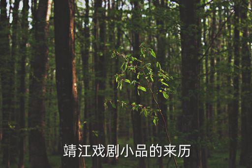 靖江市舞蹈,上海、南京等地机场到靖江仅一个半小时