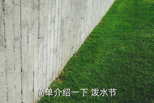 简单介绍一下 泼水节