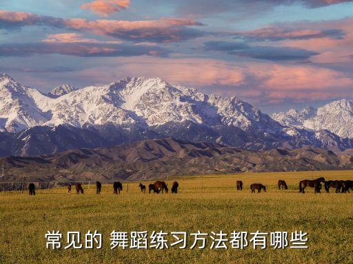 舞蹈舞台方位训练,舞蹈力量练习包括基本功训练